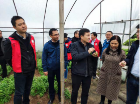 1636420137285062.png image.png