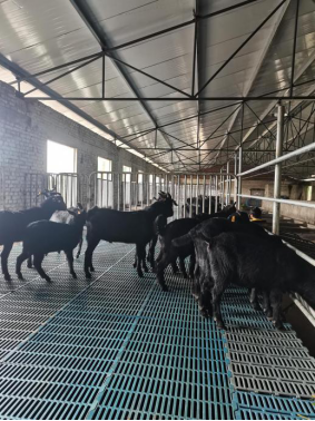 1652683156697933.png image.png