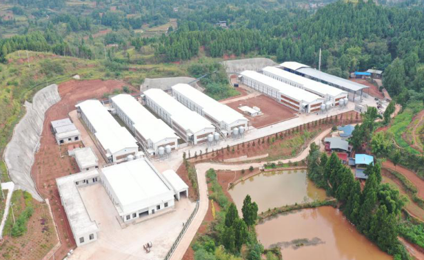 1732584753179691.png image.png