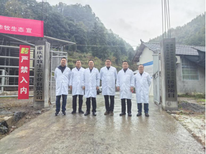 1732783650268638.png image.png