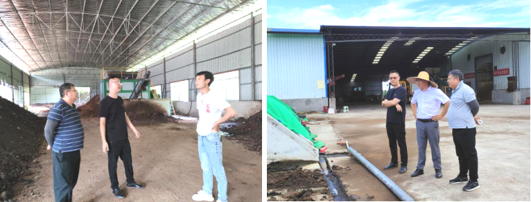 1754384036205350.png image.png